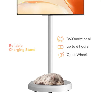 21.5 Inch Smart Android TV Portable Touch Screen LCD Monitors