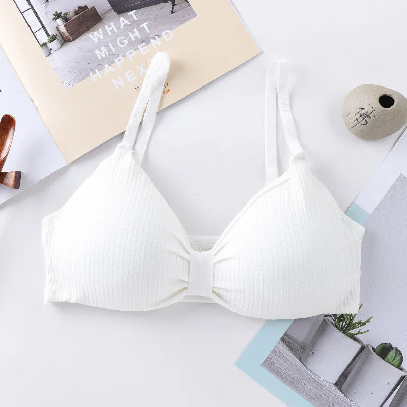 Wire Free Push Up Bras