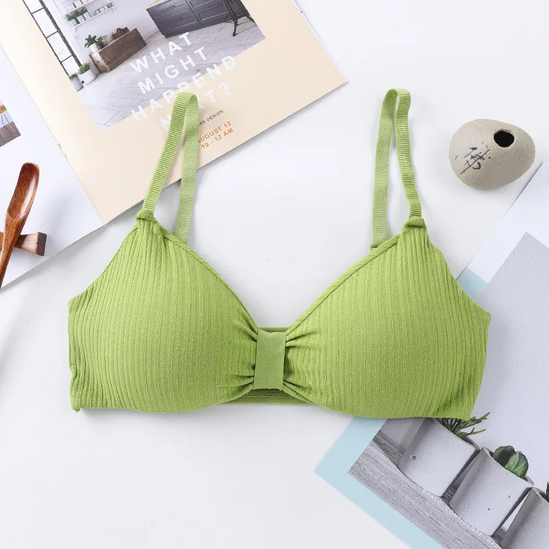 Wire Free Push Up Bras
