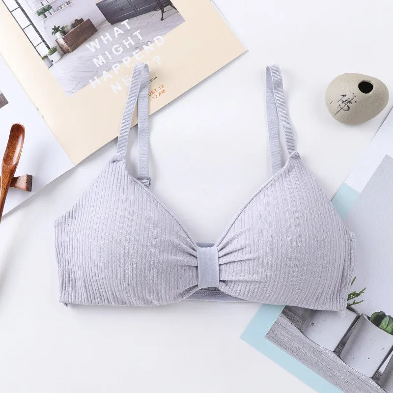 Wire Free Push Up Bras