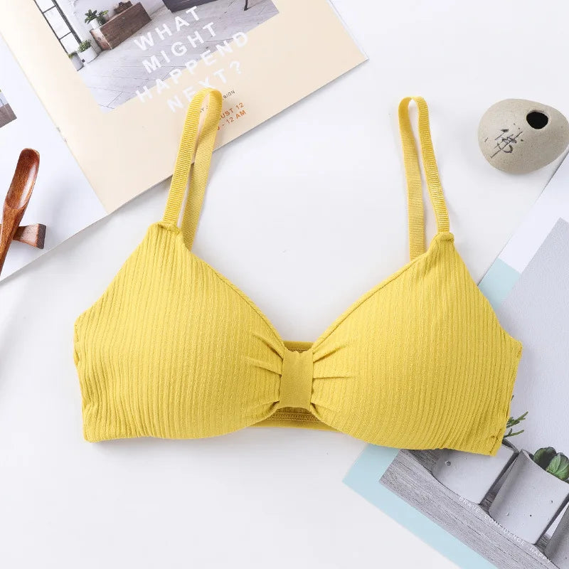 Wire Free Push Up Bras