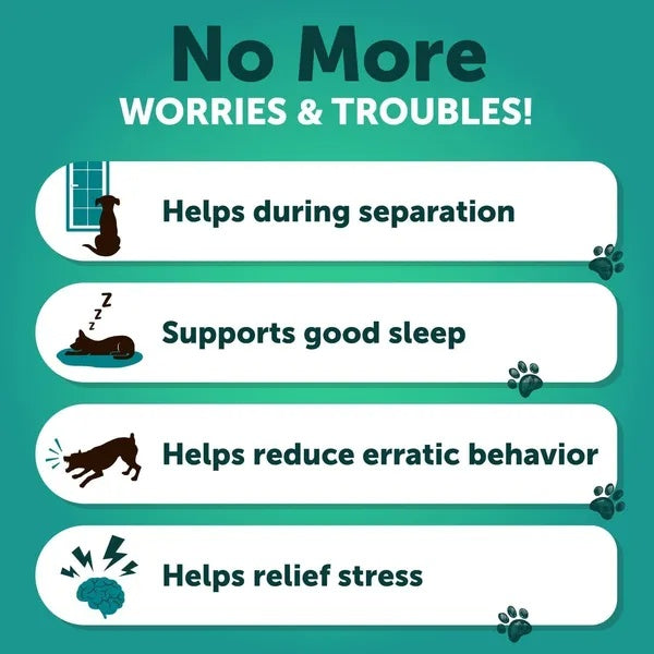 Hemp Calming Chews For Dogs Dog Anxiety Relief Treats With Hemp Oil Turmeric Valerian Ginger Health And Wellness Supplements For Dogs Hip And Joint Support 120 Treats